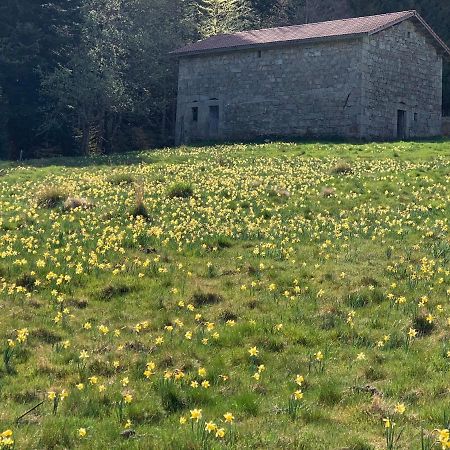 Gite " Oree Des Bois" Vertolaye Εξωτερικό φωτογραφία