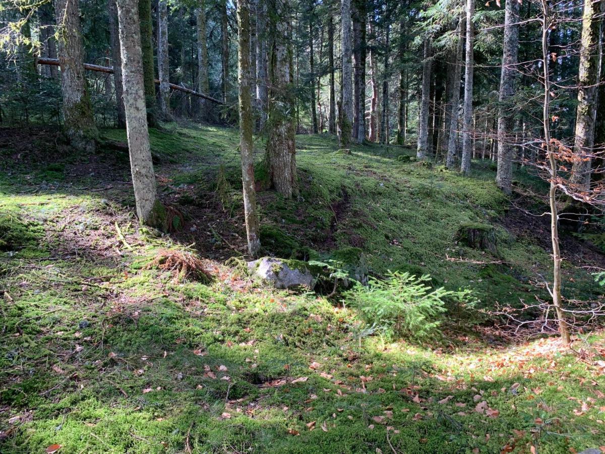 Gite " Oree Des Bois" Vertolaye Εξωτερικό φωτογραφία