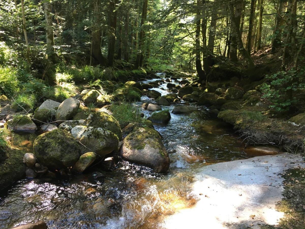 Gite " Oree Des Bois" Vertolaye Εξωτερικό φωτογραφία