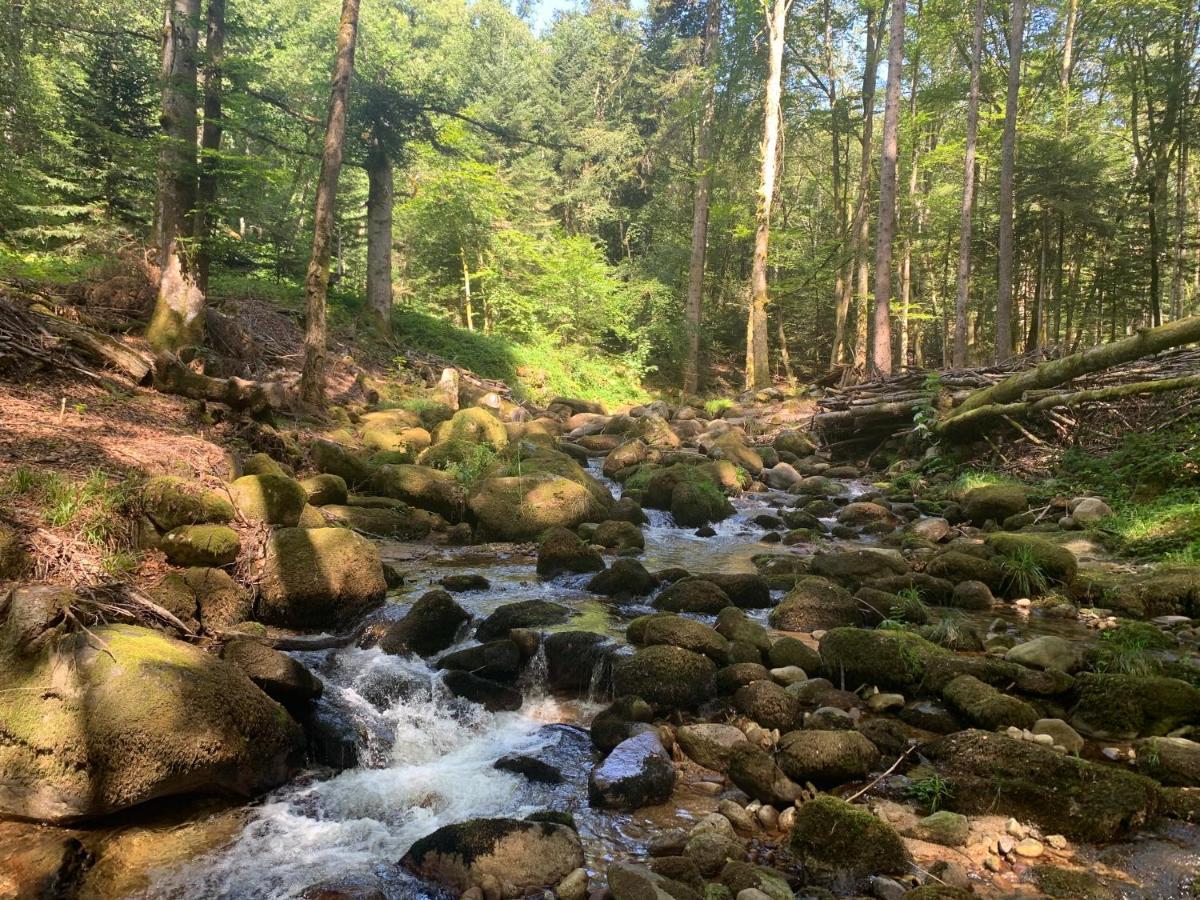 Gite " Oree Des Bois" Vertolaye Εξωτερικό φωτογραφία