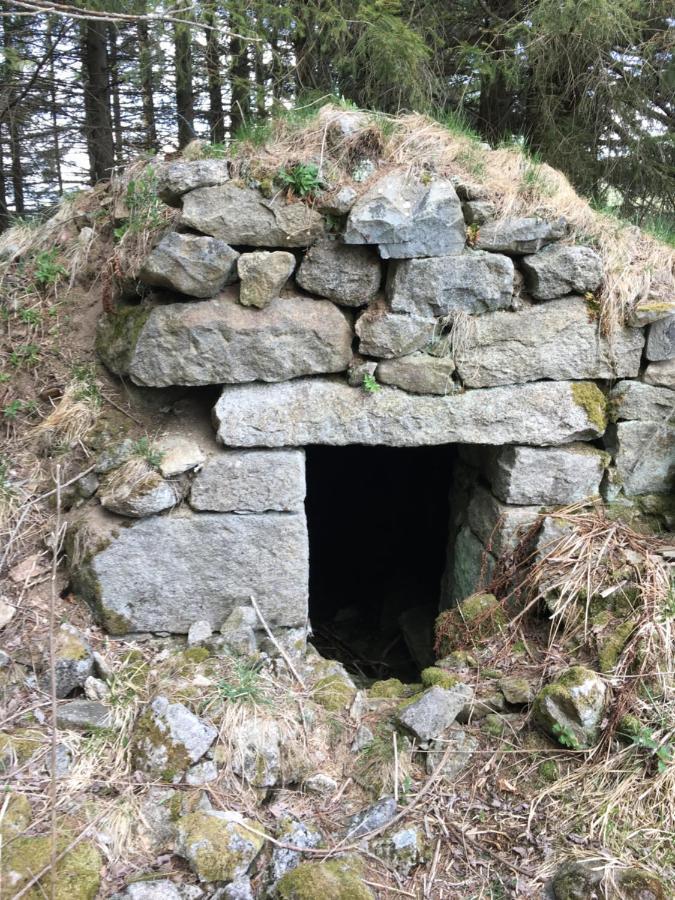 Gite " Oree Des Bois" Vertolaye Εξωτερικό φωτογραφία