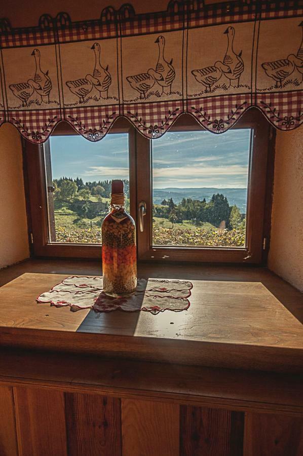 Gite " Oree Des Bois" Vertolaye Εξωτερικό φωτογραφία